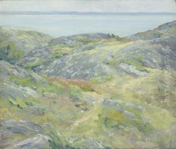 A Grey Day On The Coast - view 1