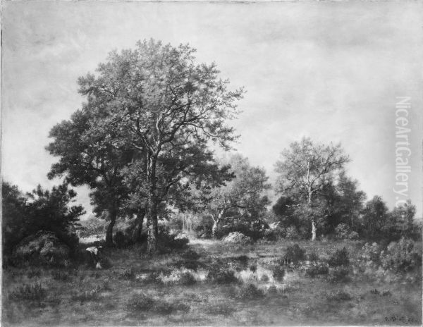 Fontainebleau Forest - view 1