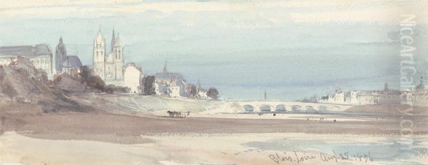 Blois on the Loire - view 1