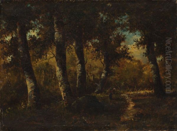 Forest Landscape - view 1