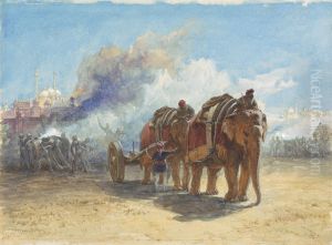 Elephant Battery