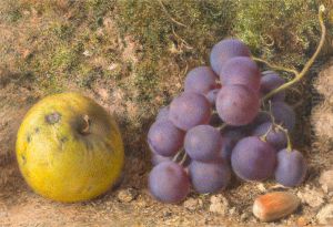 Apple, Grapes and a Cob-Nut by William Henry Hunt
