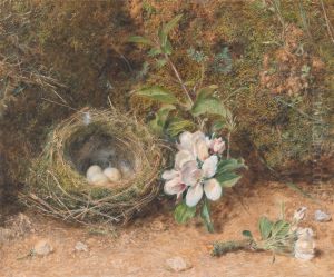 Bird's Nest with Sprays of Apple Blossoms by William Henry Hunt