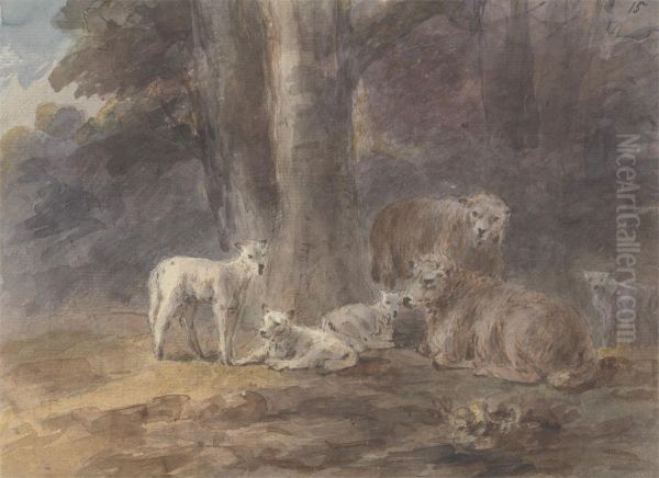 Sheep under a tree - view 1