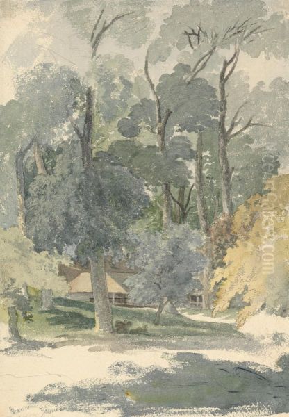 Trees and Barns in Ashstead Park, Surrey - view 1