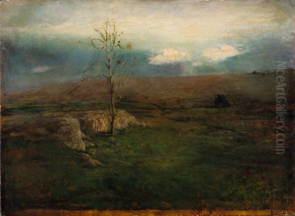 Sun Struggling Through Clouds (Landscape) - view 1