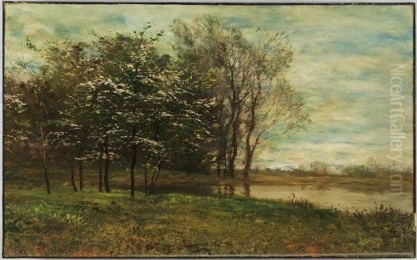 Blossoming Trees - view 1