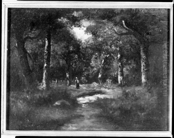 Forest Landscape - view 1