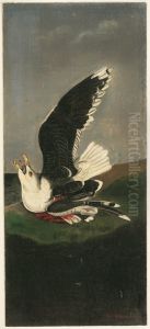 Great Black-backed Gull, after Audubon by William Stanley Haseltine