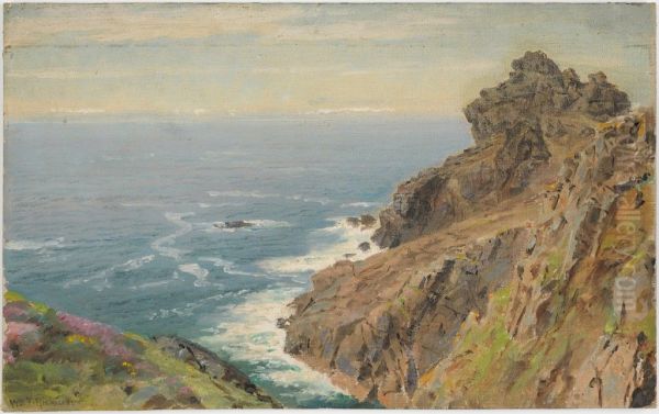 Coast Near Boscastle, Cornwall - view 1