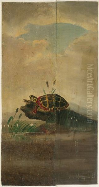 Tortoise Resting on a Log - view 1