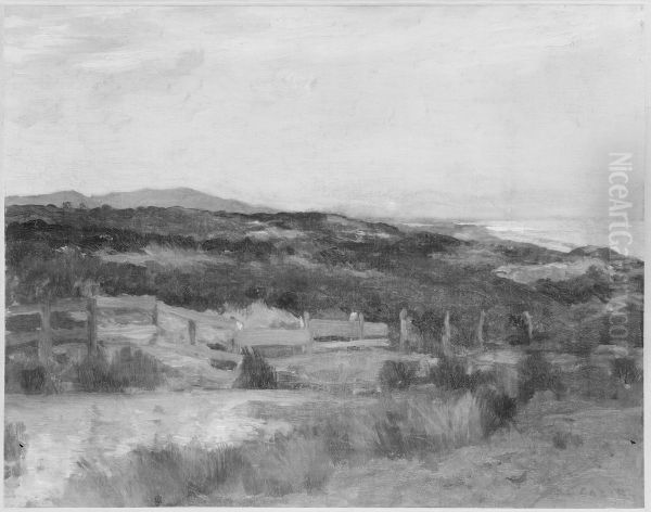 Landscape - view 1