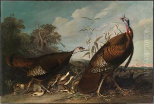 Wild Turkey Cock, Hen, and Chicks by John James Audubon