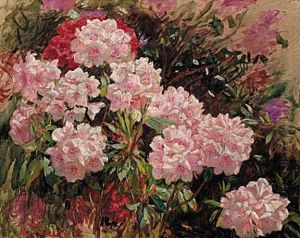 Lyserode rhododendron i Tuxens have i Skagen. by Laurits Tuxen