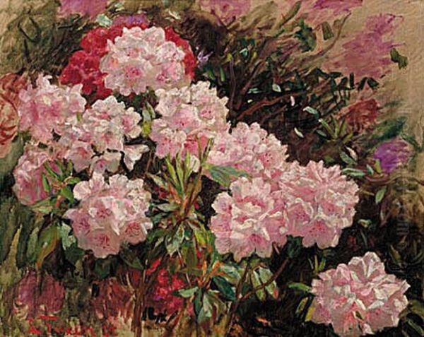 Pink rhododendron in Tuxen's garden in Skagen. - view 1