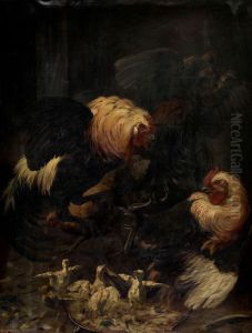 Combat de coqs