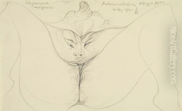 Cock on the brain or Automininetodon - view 1