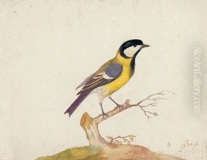 Kohlmeise auf eine AstParus major