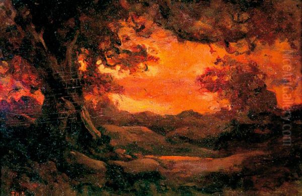 Landscape with Red Sunset - view 1