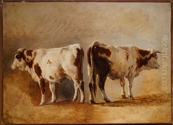 Cow study - view 1