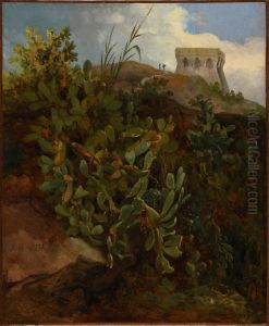 Tour et cactus