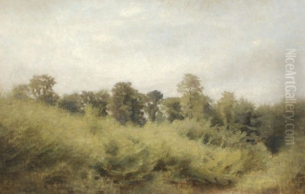 Young forest. Trorod. - view 1