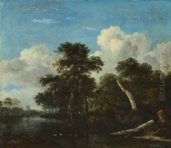 Waldesdickicht - view 1