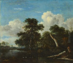 Waldesdickicht Waldesdickicht