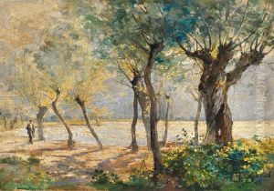 Bord De Lac Anime by Francois Charles Cachoud