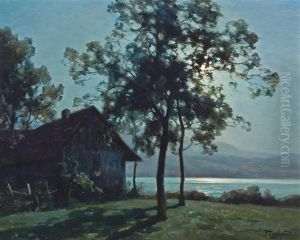 Lake Aiguebelette Savoie by Francois Charles Cachoud