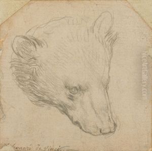 Head of a Bear