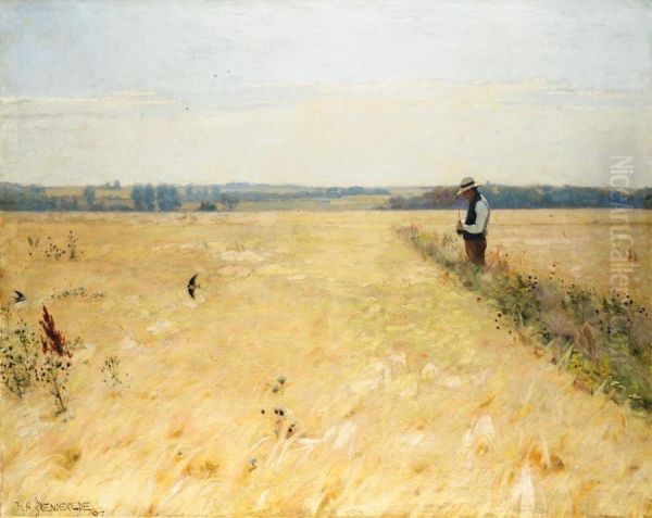 In the Cornfield. - view 1