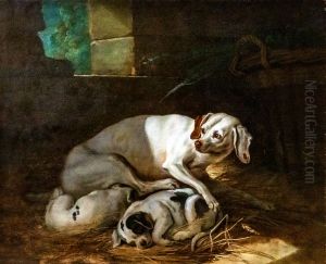 Chienne allaitant ses petits Chienne allaitant ses petits