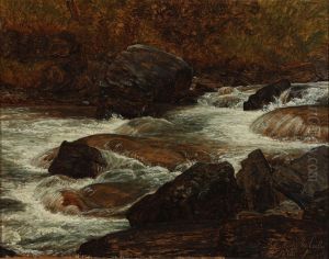 Bjaergstrom ved Rosenlaui by Janus Andreas Bartholin La Cour