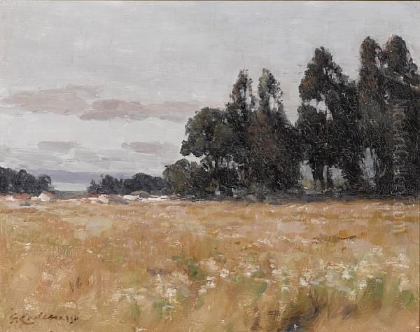Meadow With Trees Beyond - view 1