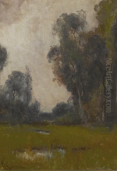 The Glade - view 1