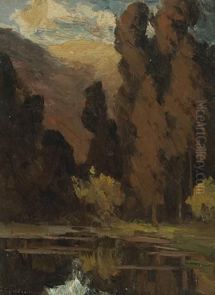 Trees Along A Reflecting Pool - view 1