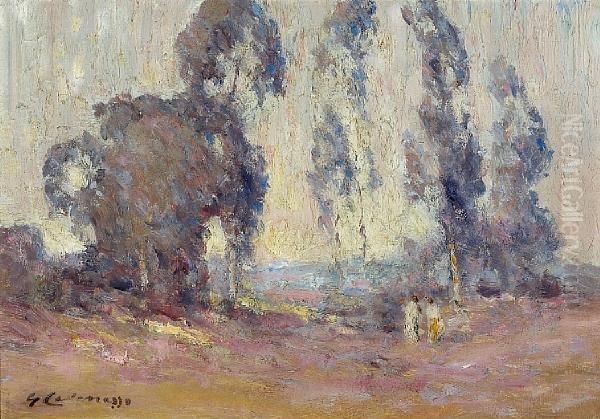 The Sign Of The Eucalyptus - view 1