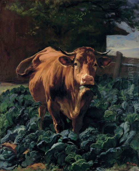 Cow in a Cabbage Field - view 1