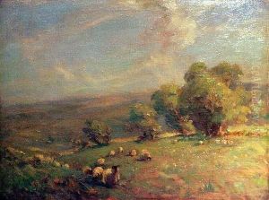 Sheep In Pasture by James Cadenhead