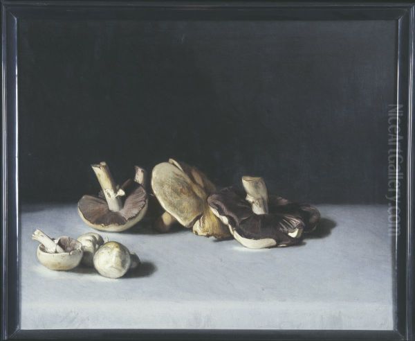Mushrooms - view 1