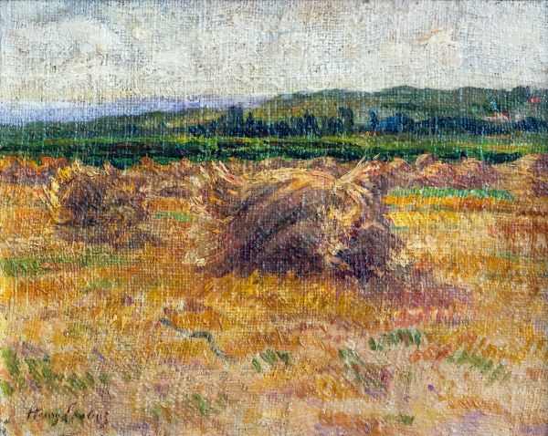 Meule de foin - view 1