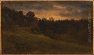 Etude du bois des brosses faite a Saint-Pierre pres de Pont-Saint-Maxence Etude du bois des brosses faite a Saint-Pierre pres de Pont-Saint-Maxence