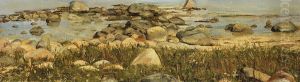 Study of stones at the water edge.
