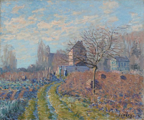 Raureif, Martini-Sommer - view 1