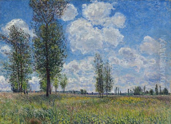 Wiesen von Veneux-Nadon - view 1