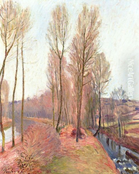 Die Orvanne und der Loing-Kanal im Winter - view 1