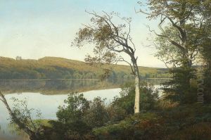Parti fra Silkeborgsoerne. by Janus Andreas Bartholin La Cour