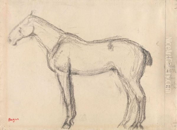 Horse - view 1
