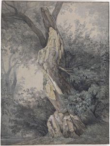 Forest Interior Forest Interior